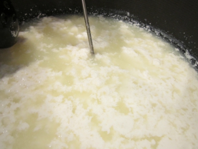 DIY - Mozzarella cheese - Milk with Citric Acid, curd forming