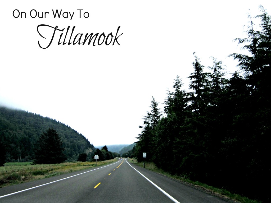 tillamook cheese drive