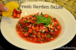 fresh garden salsa