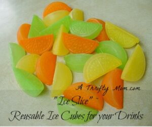 Reusable ice cubes in slices of fruit