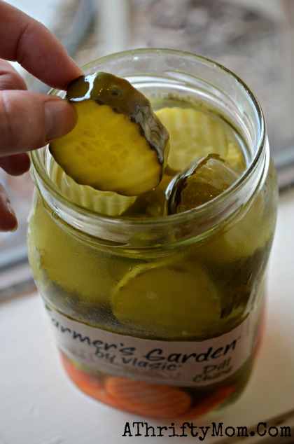 Farmer’s Garden by Vlasic review
