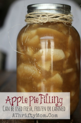Apple Pie Filling Recipe, can be used fresh, frozen or canned #Apples, #ApplePie, #CanningRecipe, #ApplePieRecipe, #FrozenApplePie