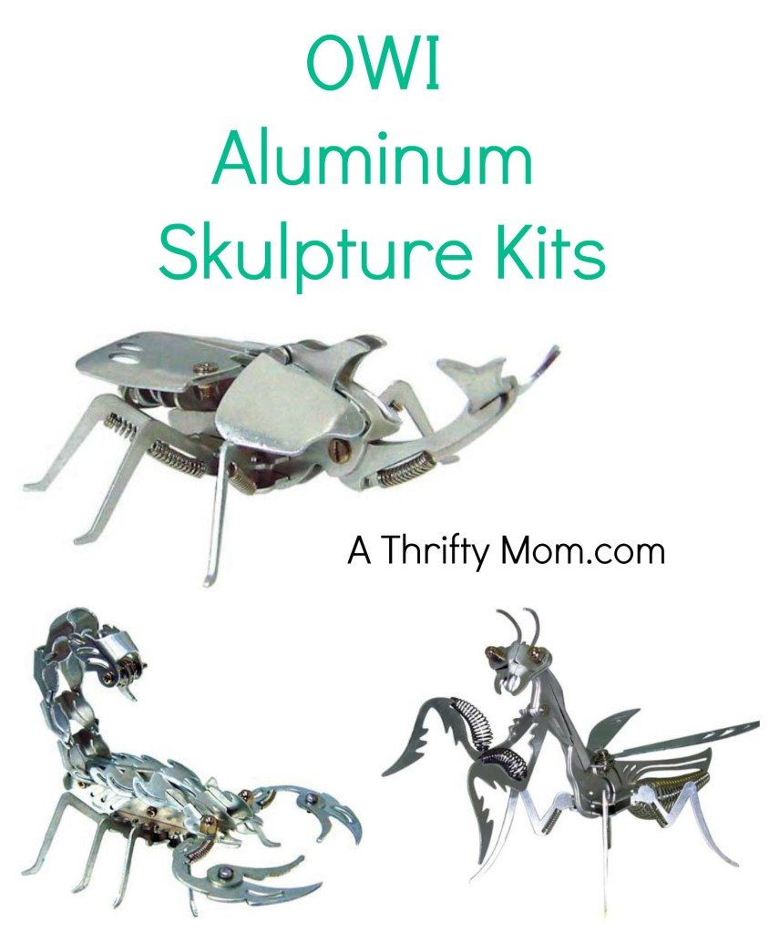 OWI Aluminum Skulpture Kits - Cool Projects for Kids - A Thrifty Mom