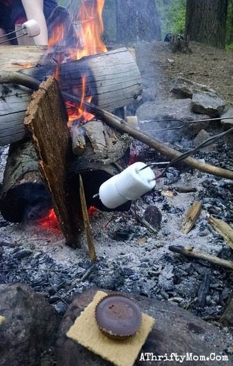 camping menu recipe ideas reese's smore's are pretty amazing, camping hacks, dessert ideas for outdoor cooking