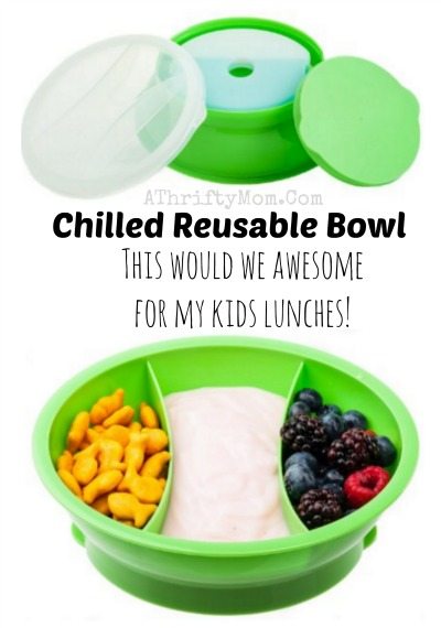 Chilled Reusable Bowl
