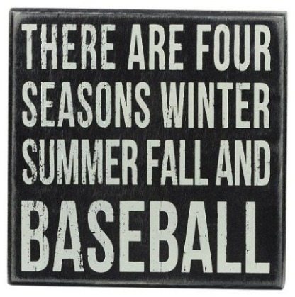 four seasons, baseball, gifts for guys, baseball fans, fathers day gift idea, summer home decor, baseball gifts