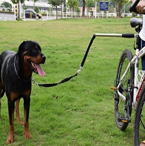 Dog bike leash