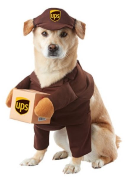 Dog costume for all sizes