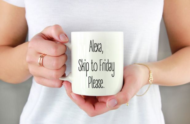 Funny Alexa mug 2 day sale