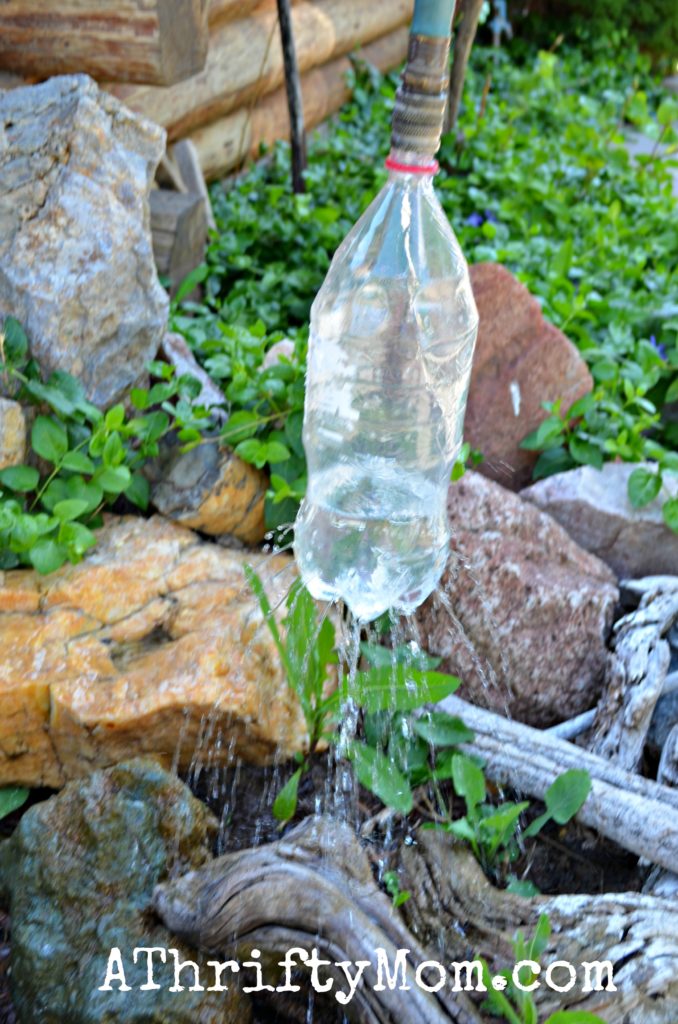 Live on Less DIY 2 Liter Bottle Sprinkler to water flowers Upcycle