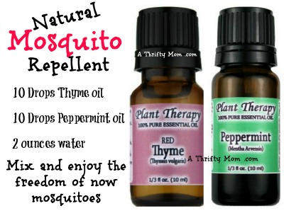 mosquito natural spray repellent recipe bug