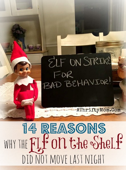 14 reasons why the Elf on the Shelf did not move ~ Are you are prepared