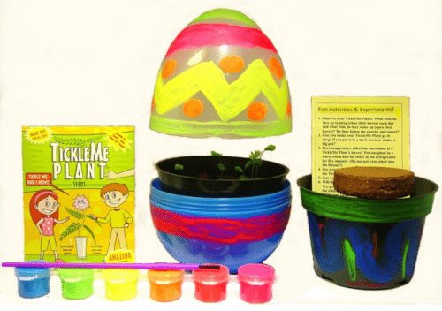 Paintable Easter Egg Plant Pot - Grow a TickleMe Plant, the leaves of the plant close up when tickled - A Thrifty Mom