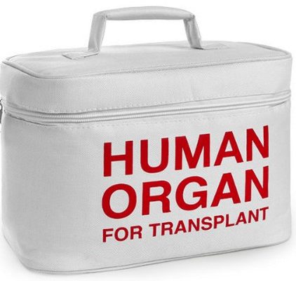 Human Organ Transplant Lunch Box