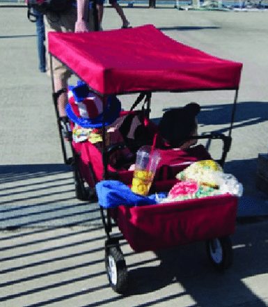 foldable kids wagon with umbrella sun shade