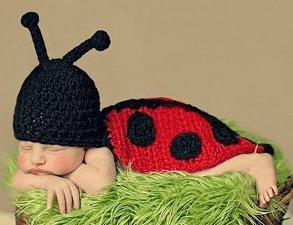 lady bug knitted baby picture