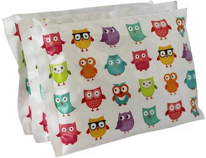 Owl ice packs, school lunch box for tweens and teens