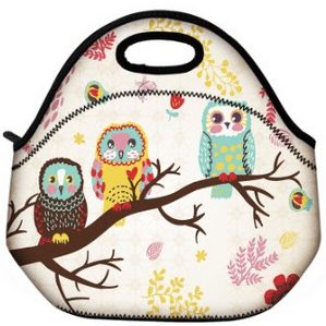 Owl insulated lunch bag for teens, Polka Dot Owl Lunch Box, school lunch box for tweens and teens