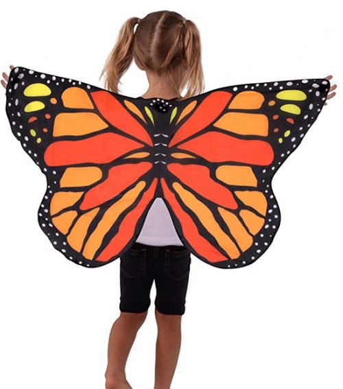 Easy Butterfly Costume
