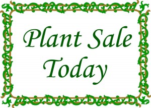 plant_sale3