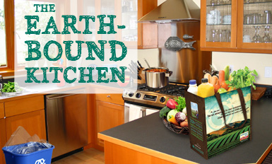 EarthDay2010-KitchenLanding