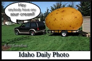 Idaho+potato