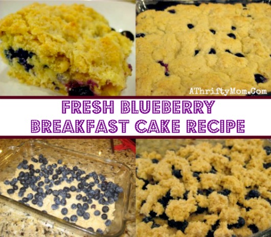 FRESH BLUEBERRY BREAKFAST CAKE RECIPE, easy to make and taste AMAZING!!!