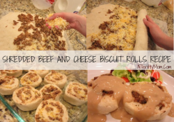 shredded beef and cheese biscut recipe