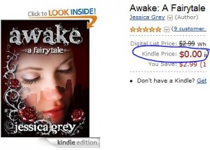 awake free kindle, free kindle book