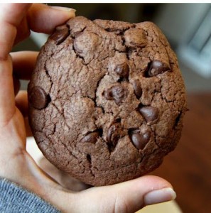 double chocolate cookie recipe