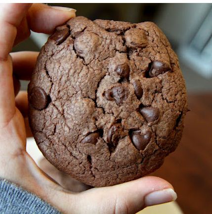 double chocolate cookie recipe