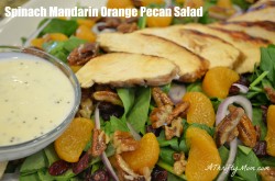 Spinach Mandarin Orange Pecan Salad recipe