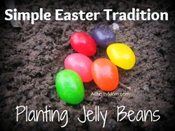 easter tradition, planitng jelly beans