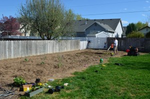 Planting a garden