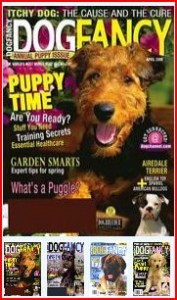 Dog Fancy magazine