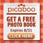 Picaboo Promotional Banner