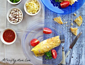 Ziploc Omelette, The Best Omelette Recipe, Money Saving Recipes1,