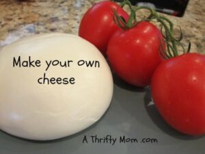 DIY Make your own Cheese