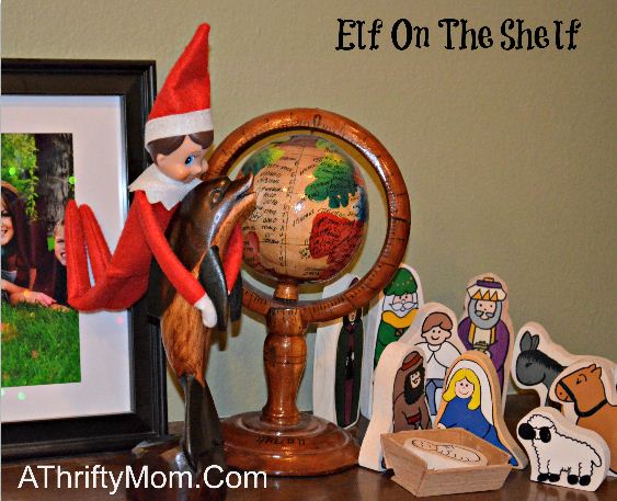 elf on the shelf ideas, swimming with the dolphins