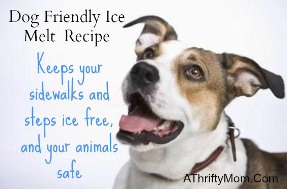 dog freindly ice melt recipe