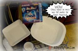 finish dishwasher challenge7