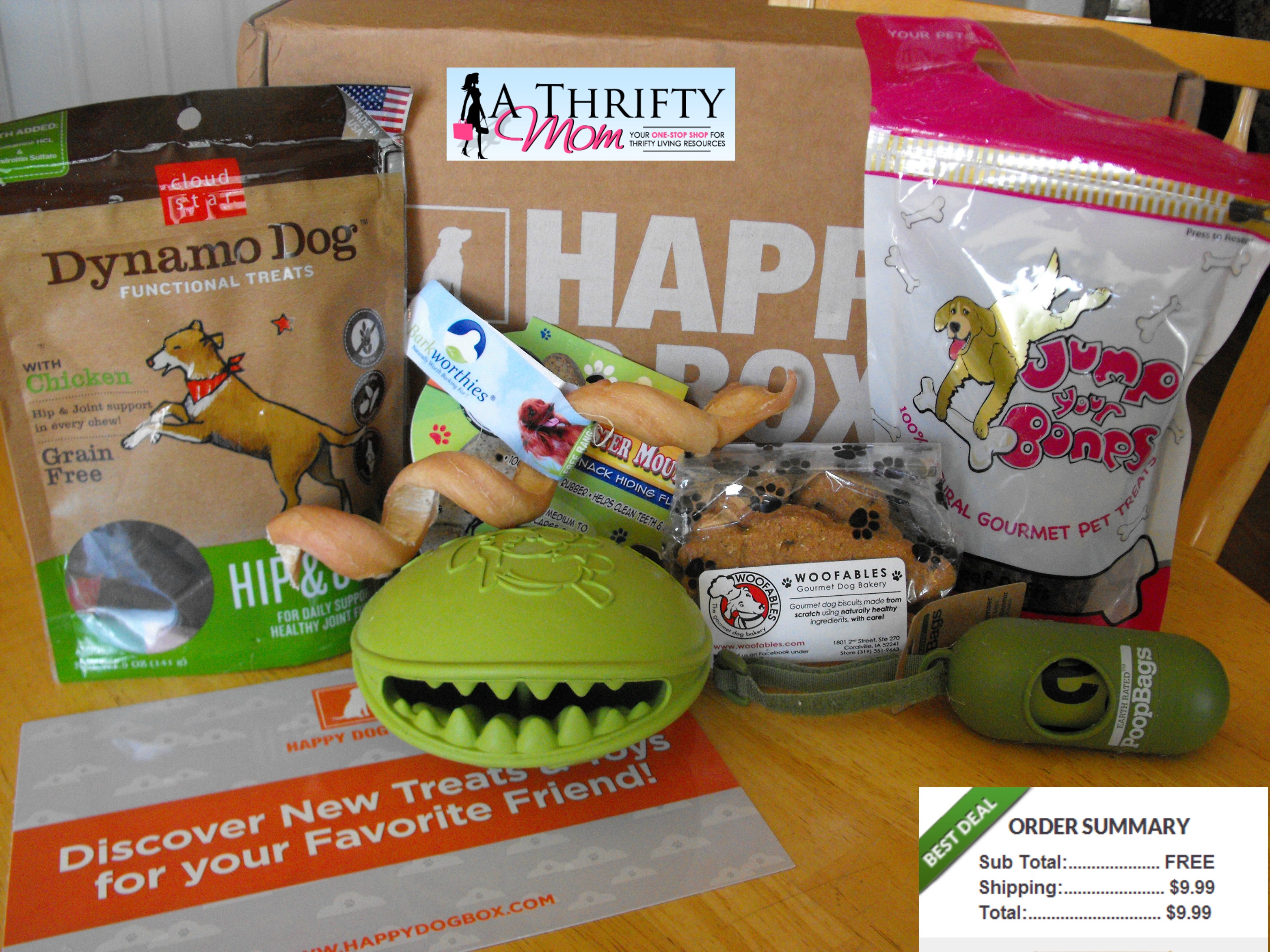 capstar flea treatment