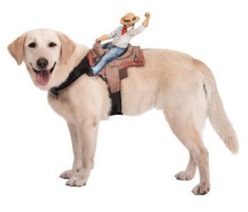 Dog Rider Cowboy Costume