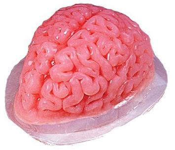 Brain Mold