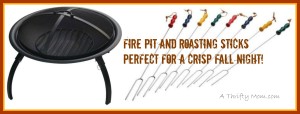 fire pit and roasting sticks