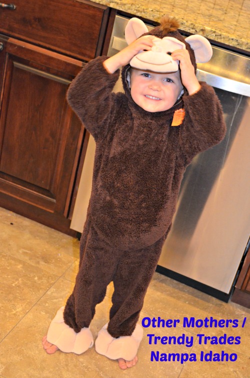 monkey costume from Other Mothers trendy trades in Nampa Idaho
