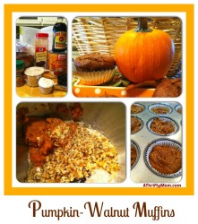 Pumpkin-Walnut Main Photopicmonkey2