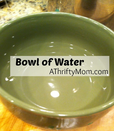 Bowl of Water-picmonkey