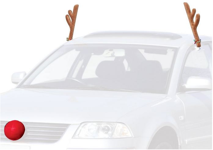 Car Costume Reindeer