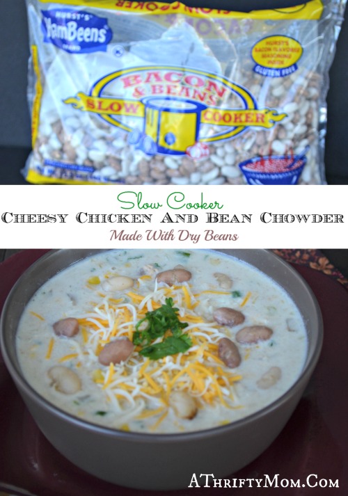 Cheesey Chicken and Bean Chowder, made in the slow cooker with dry Hurst Ham Been  Beans, quick and easy. jpg